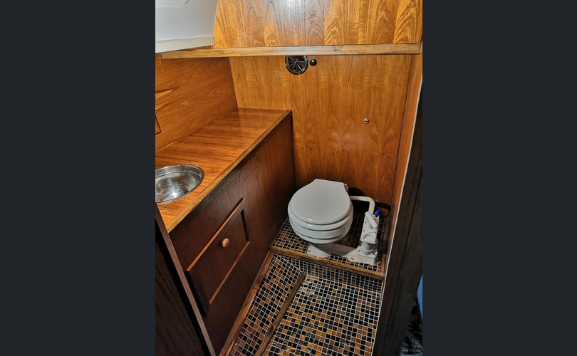 Van De Stadt 30 Vita Purjevene-kuva-2